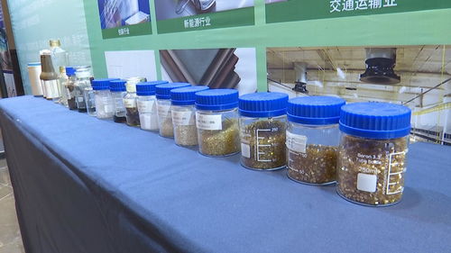 糖能科技携手思创全球 共拓生物基新材料PEF市场新蓝海